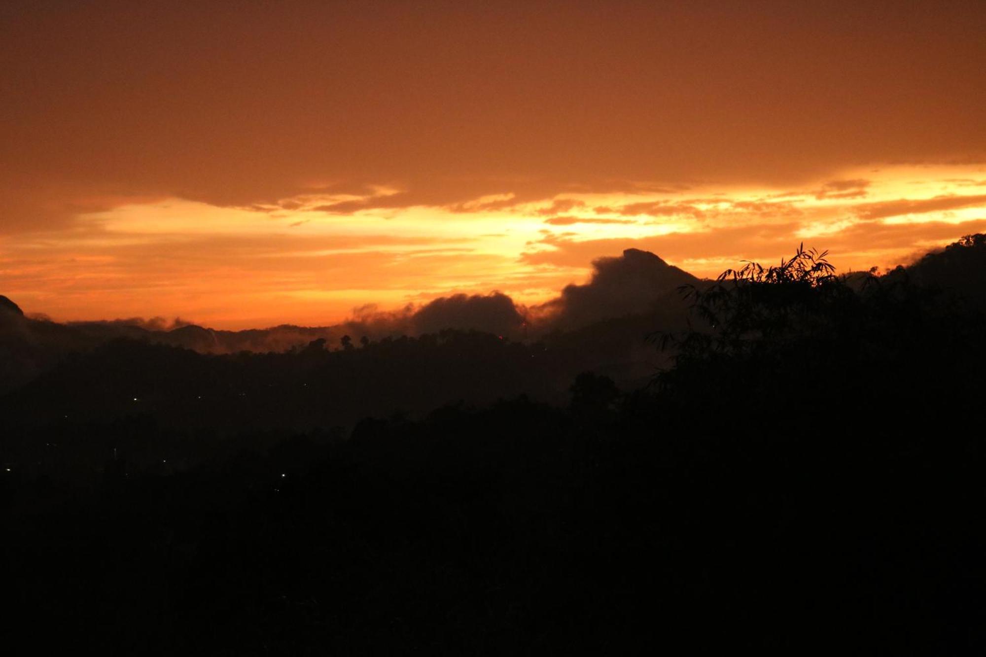 Asprin Homestay Munnar Exteriér fotografie
