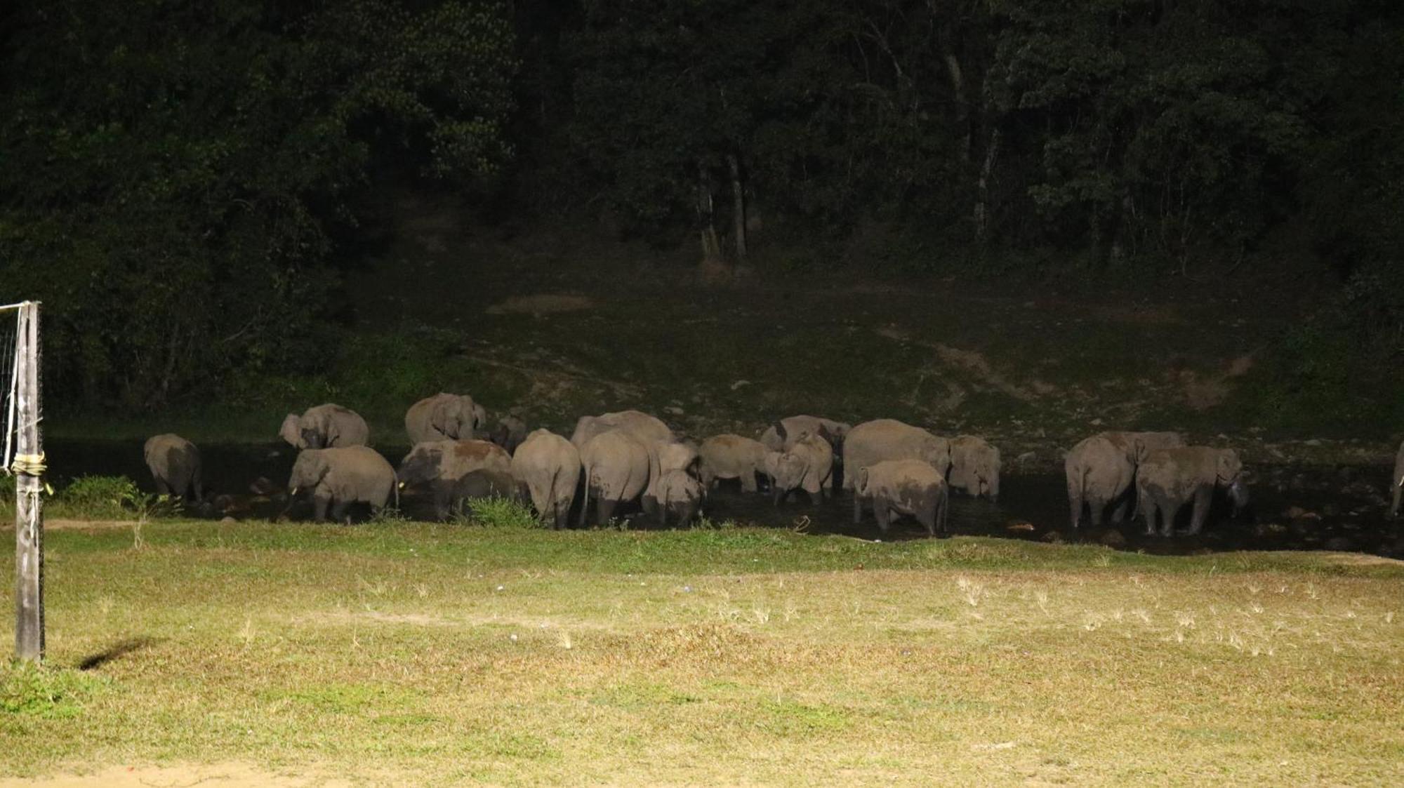 Asprin Homestay Munnar Exteriér fotografie